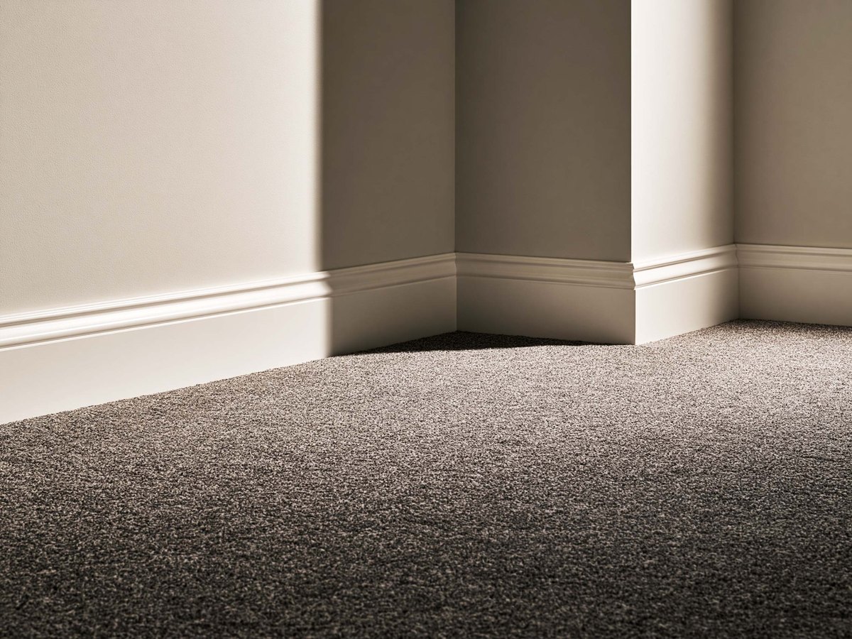 Painted baseboard meeting carpet along a finished wall, seen at floor level